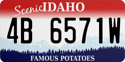 ID license plate 4B6571W