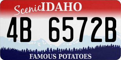 ID license plate 4B6572B