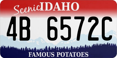 ID license plate 4B6572C