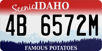 ID license plate 4B6572M