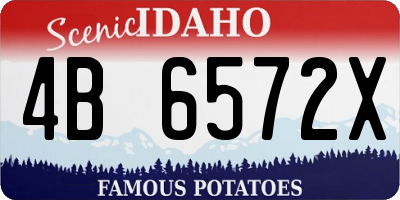 ID license plate 4B6572X