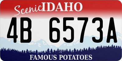 ID license plate 4B6573A