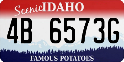 ID license plate 4B6573G