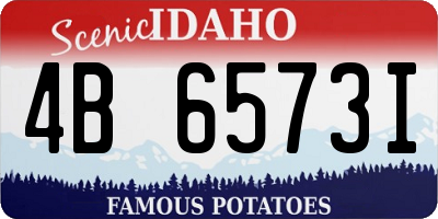 ID license plate 4B6573I