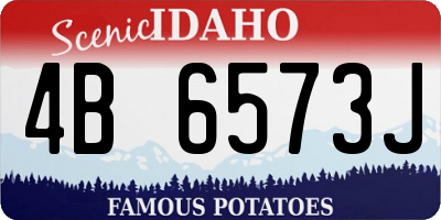 ID license plate 4B6573J
