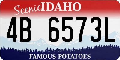 ID license plate 4B6573L
