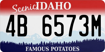 ID license plate 4B6573M