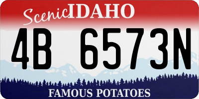 ID license plate 4B6573N