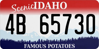 ID license plate 4B6573O