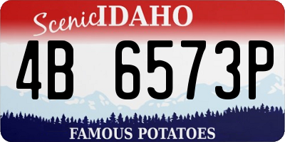 ID license plate 4B6573P