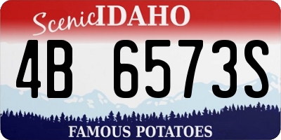 ID license plate 4B6573S