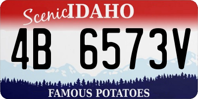 ID license plate 4B6573V