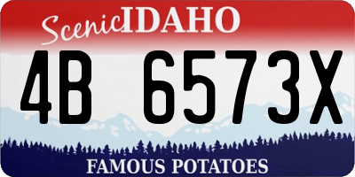 ID license plate 4B6573X