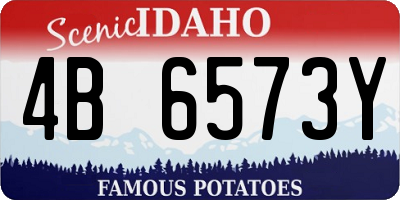ID license plate 4B6573Y