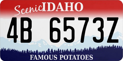 ID license plate 4B6573Z