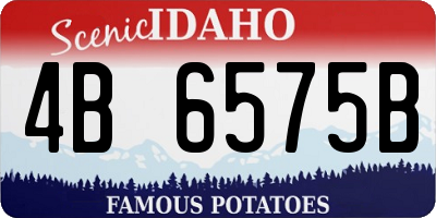 ID license plate 4B6575B