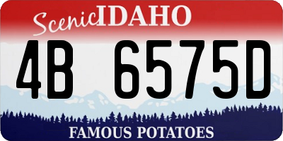ID license plate 4B6575D