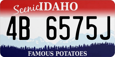 ID license plate 4B6575J