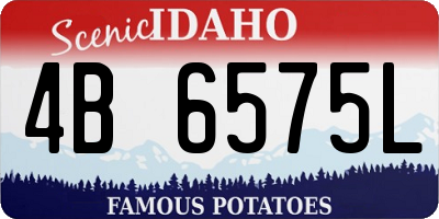 ID license plate 4B6575L