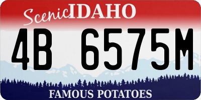 ID license plate 4B6575M