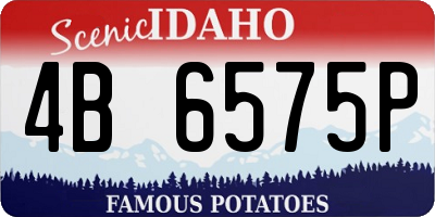 ID license plate 4B6575P