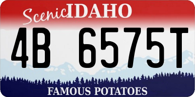 ID license plate 4B6575T