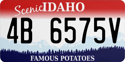ID license plate 4B6575V