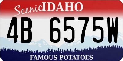 ID license plate 4B6575W