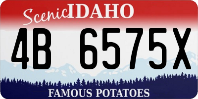 ID license plate 4B6575X
