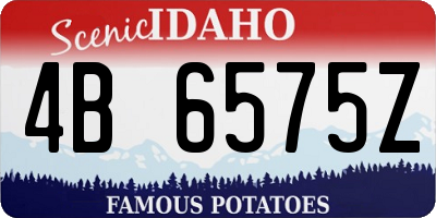 ID license plate 4B6575Z