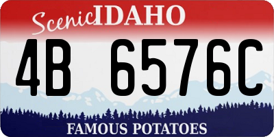 ID license plate 4B6576C