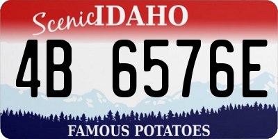 ID license plate 4B6576E