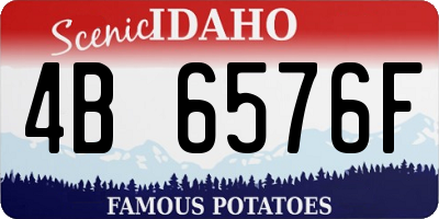 ID license plate 4B6576F
