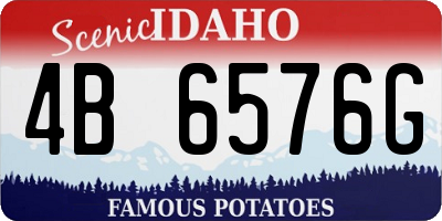 ID license plate 4B6576G