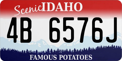 ID license plate 4B6576J
