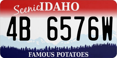 ID license plate 4B6576W