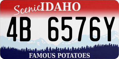 ID license plate 4B6576Y