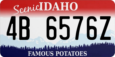 ID license plate 4B6576Z