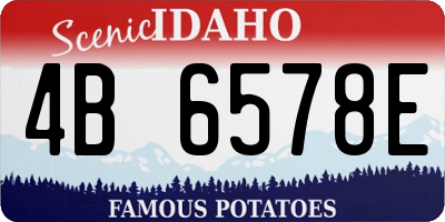 ID license plate 4B6578E
