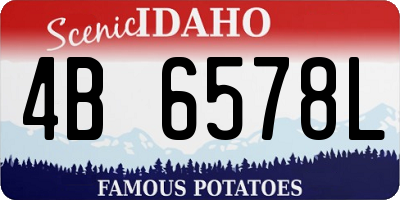ID license plate 4B6578L