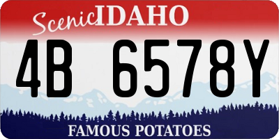 ID license plate 4B6578Y