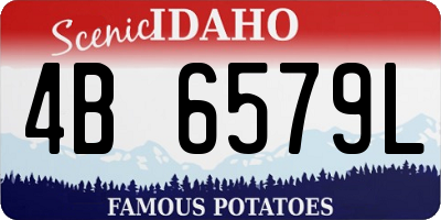 ID license plate 4B6579L