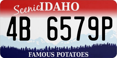ID license plate 4B6579P