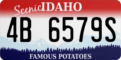 ID license plate 4B6579S