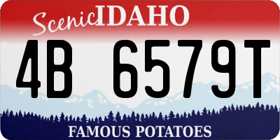ID license plate 4B6579T