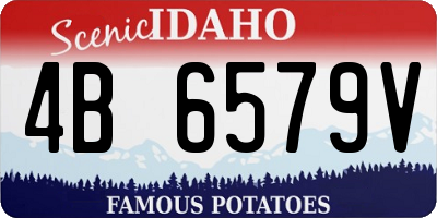 ID license plate 4B6579V
