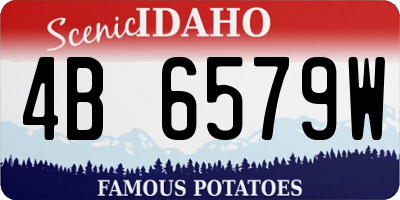ID license plate 4B6579W