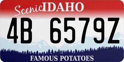 ID license plate 4B6579Z