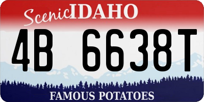 ID license plate 4B6638T