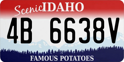 ID license plate 4B6638V